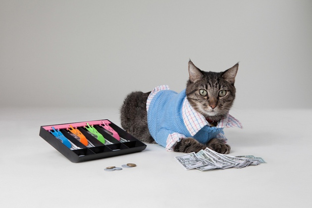 Max the Accountant Cat_cpa candidates_adam greene cpa_cpa exam